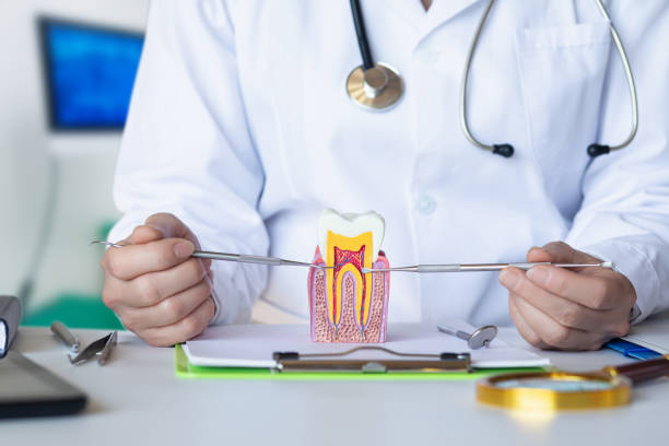 Best Emergency Dental Care for Abscessed Tooth in Lansdowne, MD